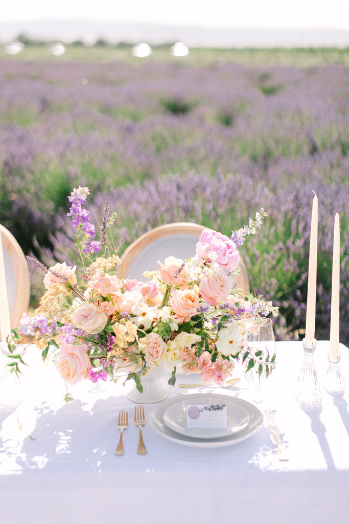 Lavender Season Specials